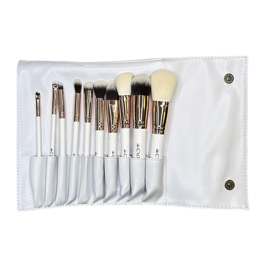 PRO 10PC BRUSH SET