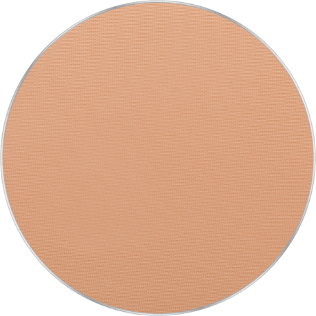 Freedom System AMC Pressed Powder Round