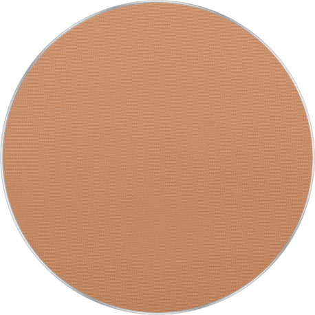 Freedom System AMC Pressed Powder Round