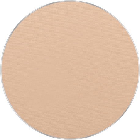 Freedom System AMC Pressed Powder Round