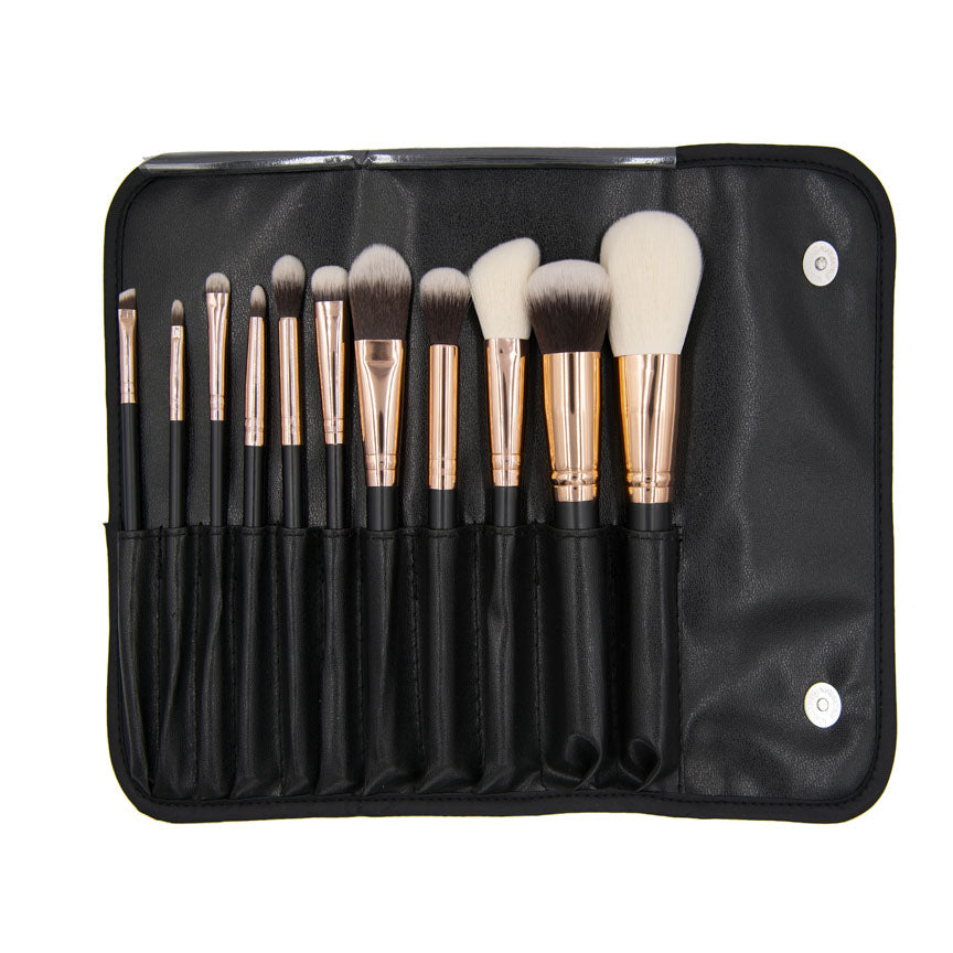 11PC PRO MASTER BRUSH SET