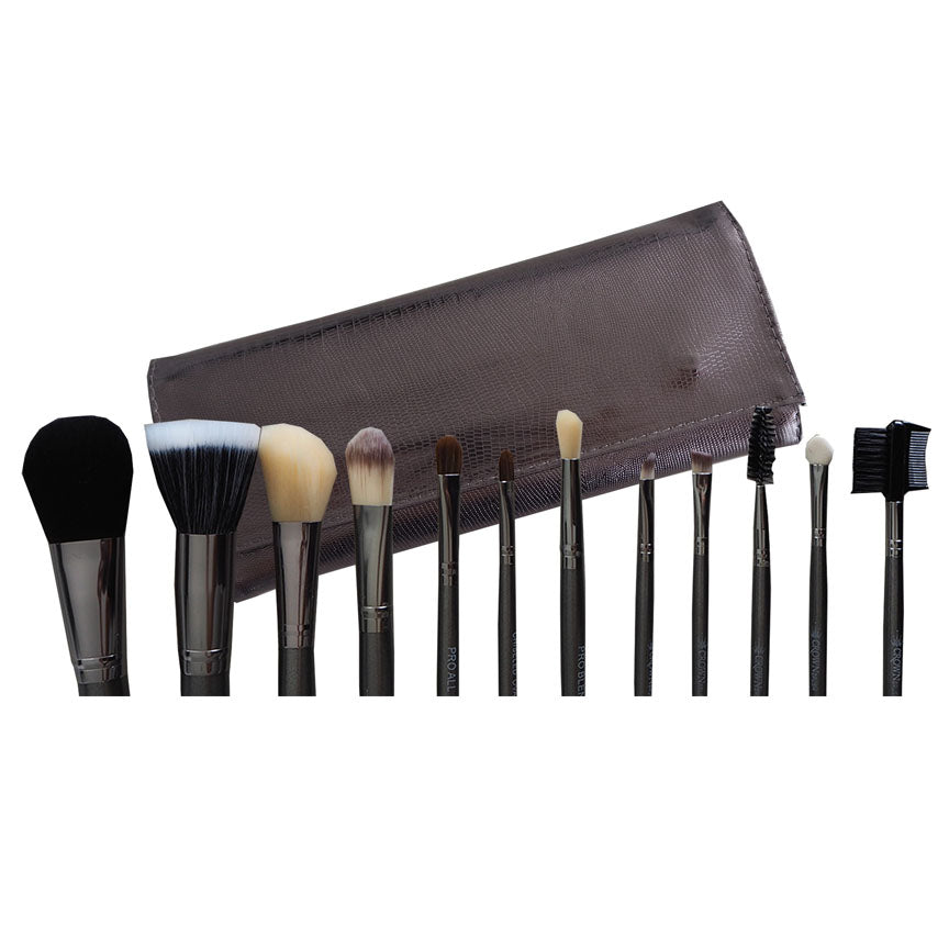 12PC BRUSH SET