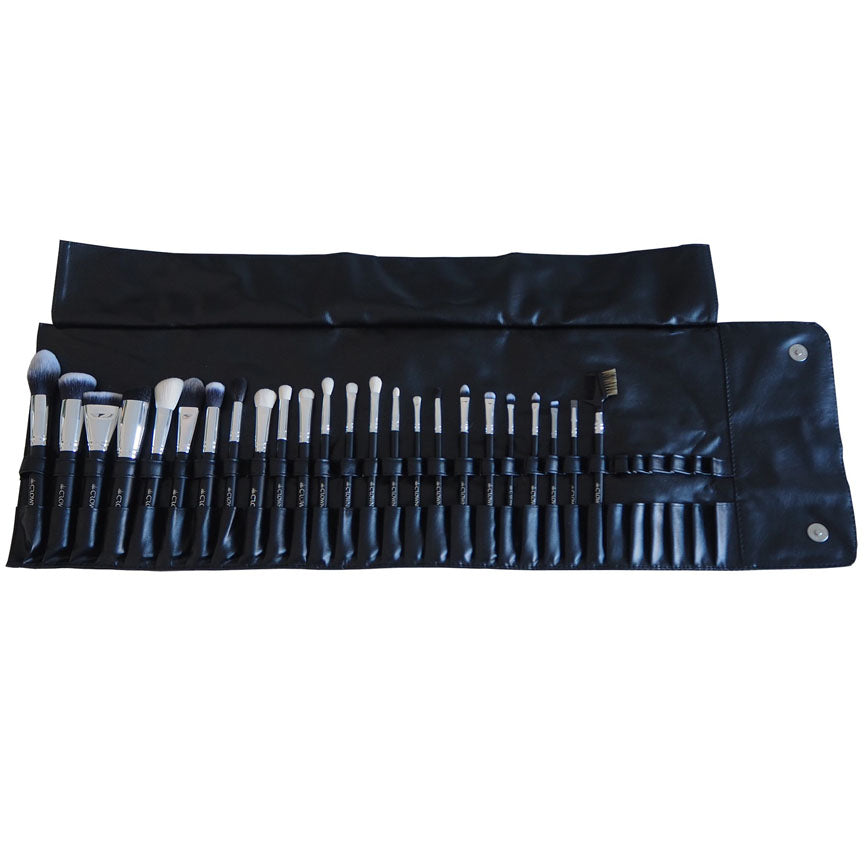 24PC PRO BRUSH SET