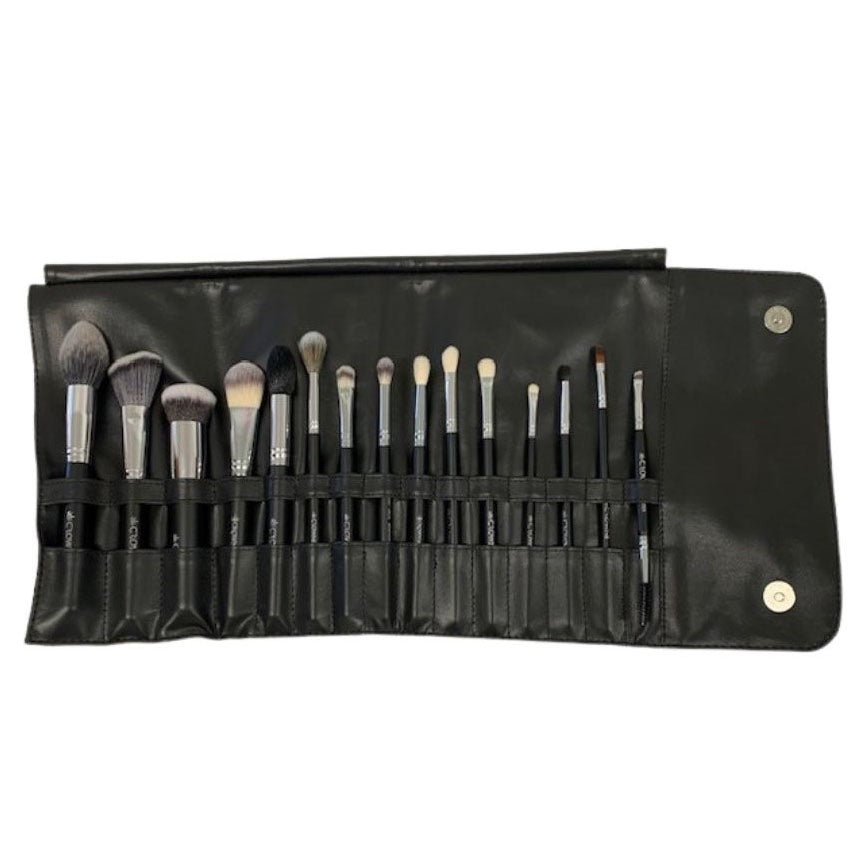 15PC PRO BRUSH SET